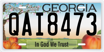 GA license plate QAI8473