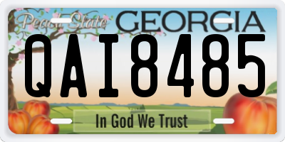 GA license plate QAI8485