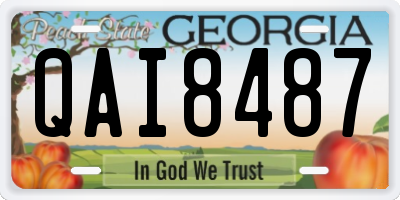 GA license plate QAI8487
