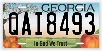 GA license plate QAI8493