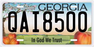 GA license plate QAI8500