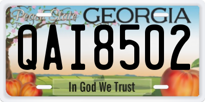 GA license plate QAI8502