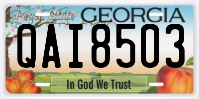 GA license plate QAI8503