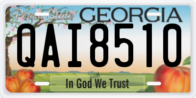 GA license plate QAI8510