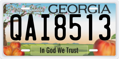 GA license plate QAI8513