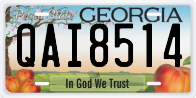GA license plate QAI8514