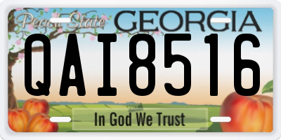 GA license plate QAI8516