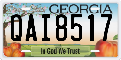 GA license plate QAI8517