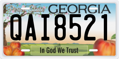 GA license plate QAI8521