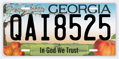 GA license plate QAI8525