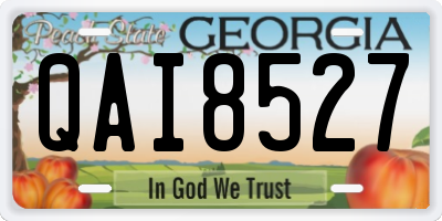 GA license plate QAI8527