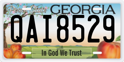 GA license plate QAI8529