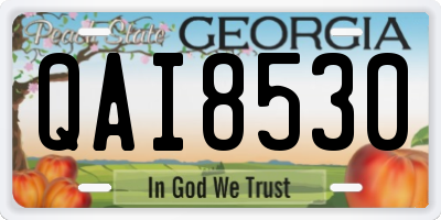 GA license plate QAI8530