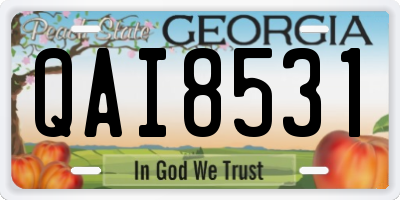GA license plate QAI8531