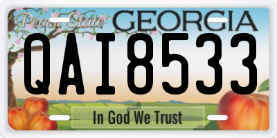 GA license plate QAI8533