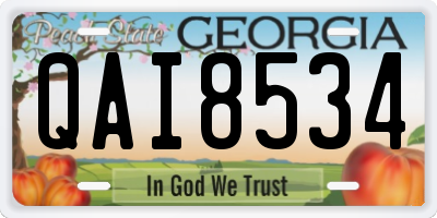 GA license plate QAI8534