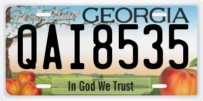 GA license plate QAI8535