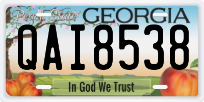 GA license plate QAI8538