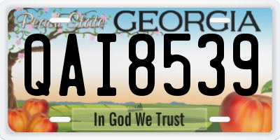 GA license plate QAI8539