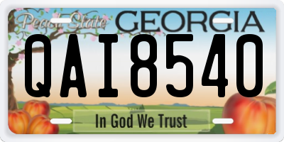 GA license plate QAI8540