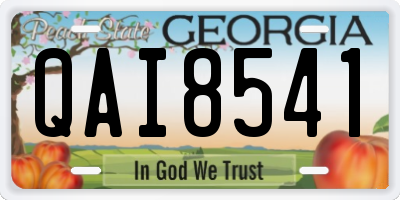 GA license plate QAI8541
