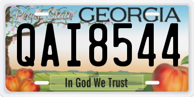 GA license plate QAI8544