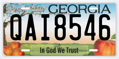 GA license plate QAI8546