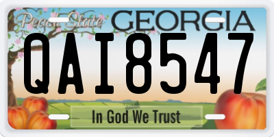 GA license plate QAI8547