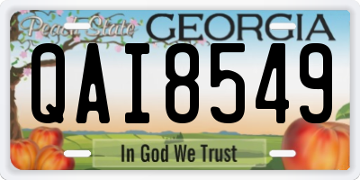 GA license plate QAI8549