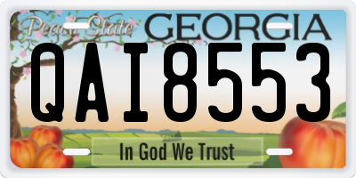 GA license plate QAI8553