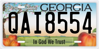 GA license plate QAI8554