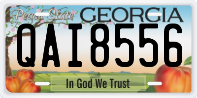 GA license plate QAI8556