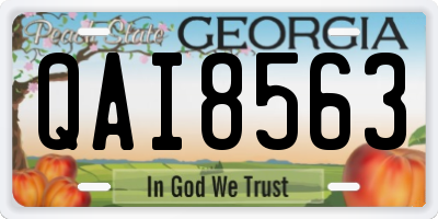 GA license plate QAI8563