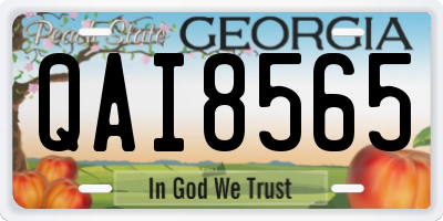 GA license plate QAI8565