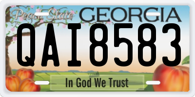 GA license plate QAI8583