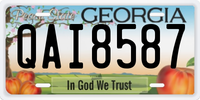 GA license plate QAI8587
