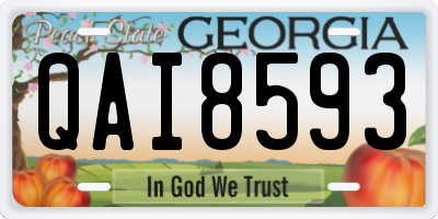 GA license plate QAI8593