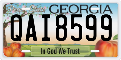 GA license plate QAI8599