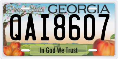 GA license plate QAI8607