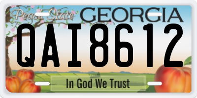 GA license plate QAI8612