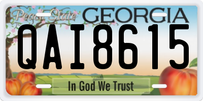 GA license plate QAI8615