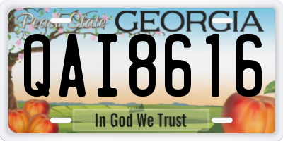 GA license plate QAI8616