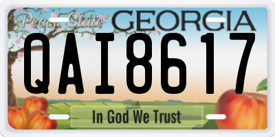 GA license plate QAI8617