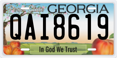 GA license plate QAI8619