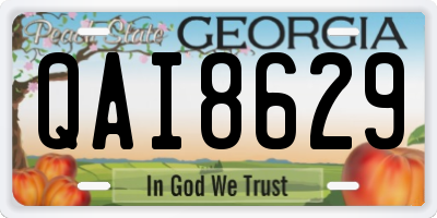 GA license plate QAI8629