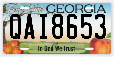 GA license plate QAI8653