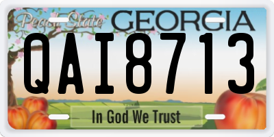 GA license plate QAI8713