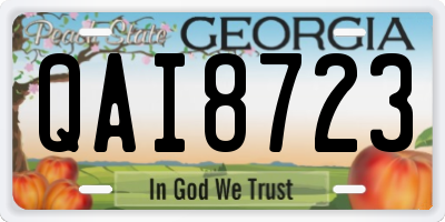 GA license plate QAI8723