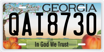 GA license plate QAI8730