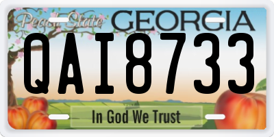 GA license plate QAI8733